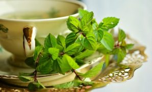 Tanaman Herbal dan Khasiatnya